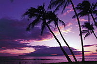 Beach front Polo Beach Club, Maui vacation rentals, Polo Beach Club, Waile