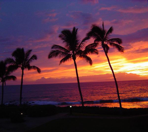 Polo Beach Club Units - Polo Beach, Wailea, Maui, Tahoe owner vacation